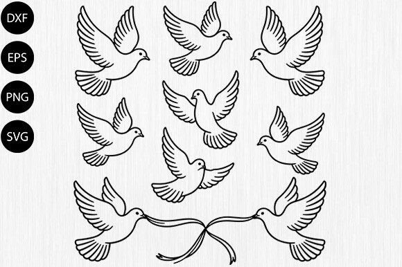 Cute Cat & Flying Birds SVG Design Review