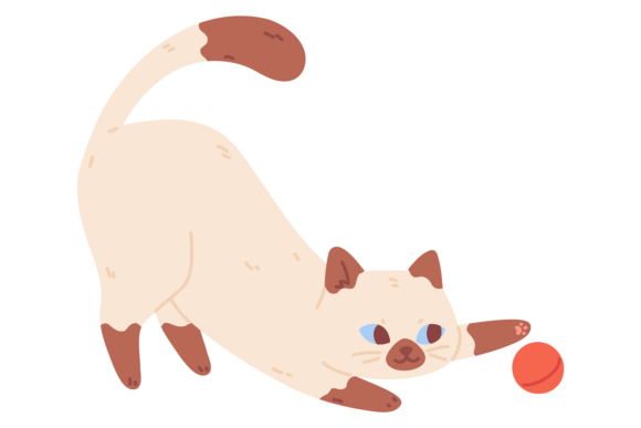 Kitten Play with Ball. Cute Siamese Pet